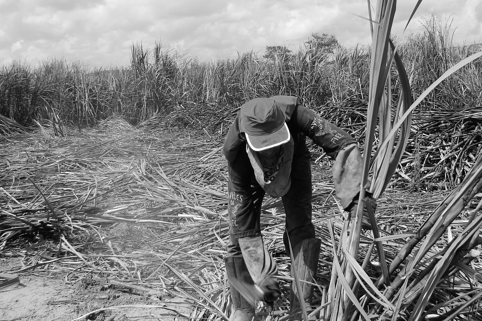 Caso Trabalhadores da Fazenda Brasil Verde versus Brasil