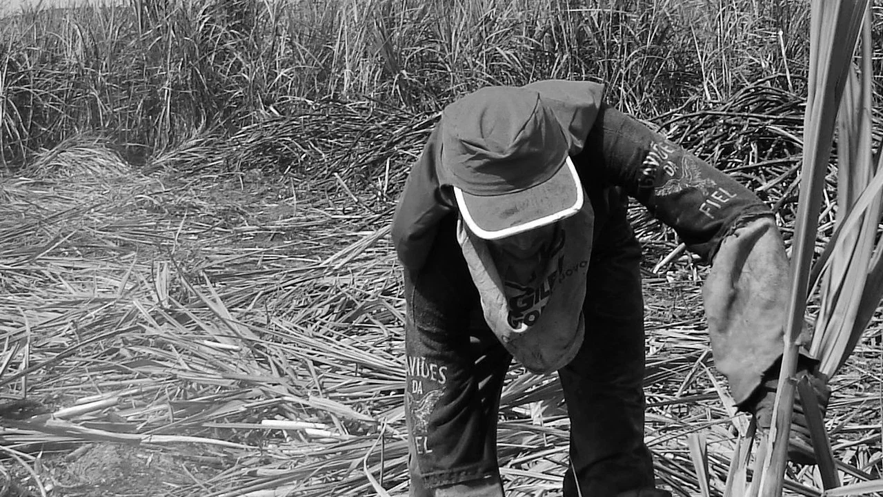 Caso Trabalhadores da Fazenda Brasil Verde versus Brasil